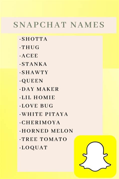 snapchat aesthetic usernames|207+ Unique Snapchat Username Ideas for Everyone